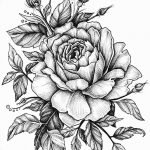 Фото эскизы тату камелия от 18.09.2018 №072 - sketches of camellia tattoos - tatufoto.com