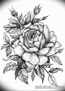 Фото эскизы тату камелия от 18.09.2018 №072 - sketches of camellia tattoos - tatufoto.com