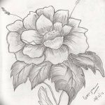 Фото эскизы тату камелия от 18.09.2018 №073 - sketches of camellia tattoos - tatufoto.com