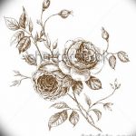 Фото эскизы тату камелия от 18.09.2018 №076 - sketches of camellia tattoos - tatufoto.com