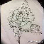 Фото эскизы тату камелия от 18.09.2018 №080 - sketches of camellia tattoos - tatufoto.com