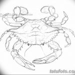 Фото эскизы тату краб рак от 11.09.2018 №004 - sketching tattoo crab cancer - tatufoto.com