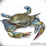 Фото эскизы тату краб рак от 11.09.2018 №008 - sketching tattoo crab cancer - tatufoto.com