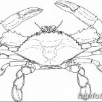 Фото эскизы тату краб рак от 11.09.2018 №011 - sketching tattoo crab cancer - tatufoto.com