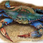 Фото эскизы тату краб рак от 11.09.2018 №012 - sketching tattoo crab cancer - tatufoto.com