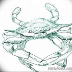 Фото эскизы тату краб рак от 11.09.2018 №013 - sketching tattoo crab cancer - tatufoto.com