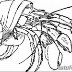 Фото эскизы тату краб рак от 11.09.2018 №029 - sketching tattoo crab cancer - tatufoto.com