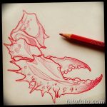 Фото эскизы тату краб рак от 11.09.2018 №043 - sketching tattoo crab cancer - tatufoto.com