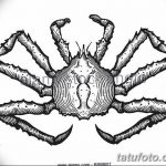 Фото эскизы тату краб рак от 11.09.2018 №044 - sketching tattoo crab cancer - tatufoto.com