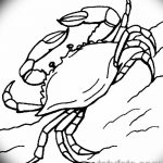 Фото эскизы тату краб рак от 11.09.2018 №049 - sketching tattoo crab cancer - tatufoto.com