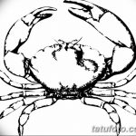 Фото эскизы тату краб рак от 11.09.2018 №051 - sketching tattoo crab cancer - tatufoto.com