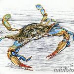 Фото эскизы тату краб рак от 11.09.2018 №054 - sketching tattoo crab cancer - tatufoto.com
