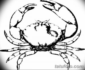 Черно-белый контурный эскиз татуировки рака, выполненный в минималистичном стиле. Подходит для первого тату или небольшого рисунка.