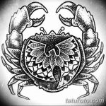 Фото эскизы тату краб рак от 11.09.2018 №059 - sketching tattoo crab cancer - tatufoto.com