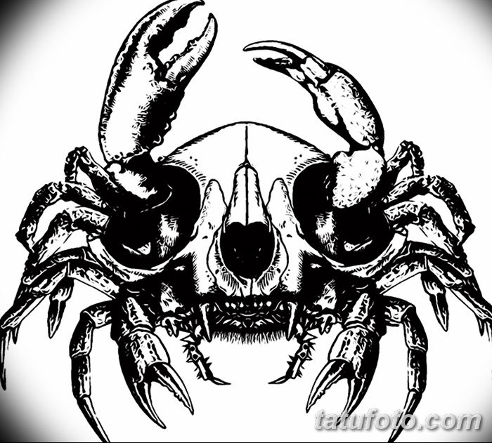 Фото эскизы тату краб рак от 11.09.2018 №077 - sketching tattoo crab cancer - tatufoto.com