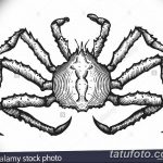 Фото эскизы тату краб рак от 11.09.2018 №078 - sketching tattoo crab cancer - tatufoto.com