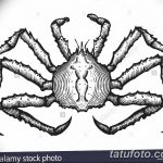 Фото эскизы тату краб рак от 11.09.2018 №080 - sketching tattoo crab cancer - tatufoto.com