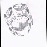 Фото эскизы тату краб рак от 11.09.2018 №089 - sketching tattoo crab cancer - tatufoto.com