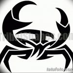 Фото эскизы тату краб рак от 11.09.2018 №096 - sketching tattoo crab cancer - tatufoto.com