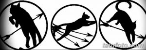 Черно-белое фото татуировки с тремя изображениями кота, пронзенного стрелами, заключенными в круг. Эскиз тату.