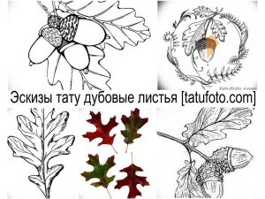 Коллаж черно-белых и цветных эскизов татуировок дубовых листьев и желудей, выполненных в различных стилях. Подходит для тату на спину, плечо или предплечье.