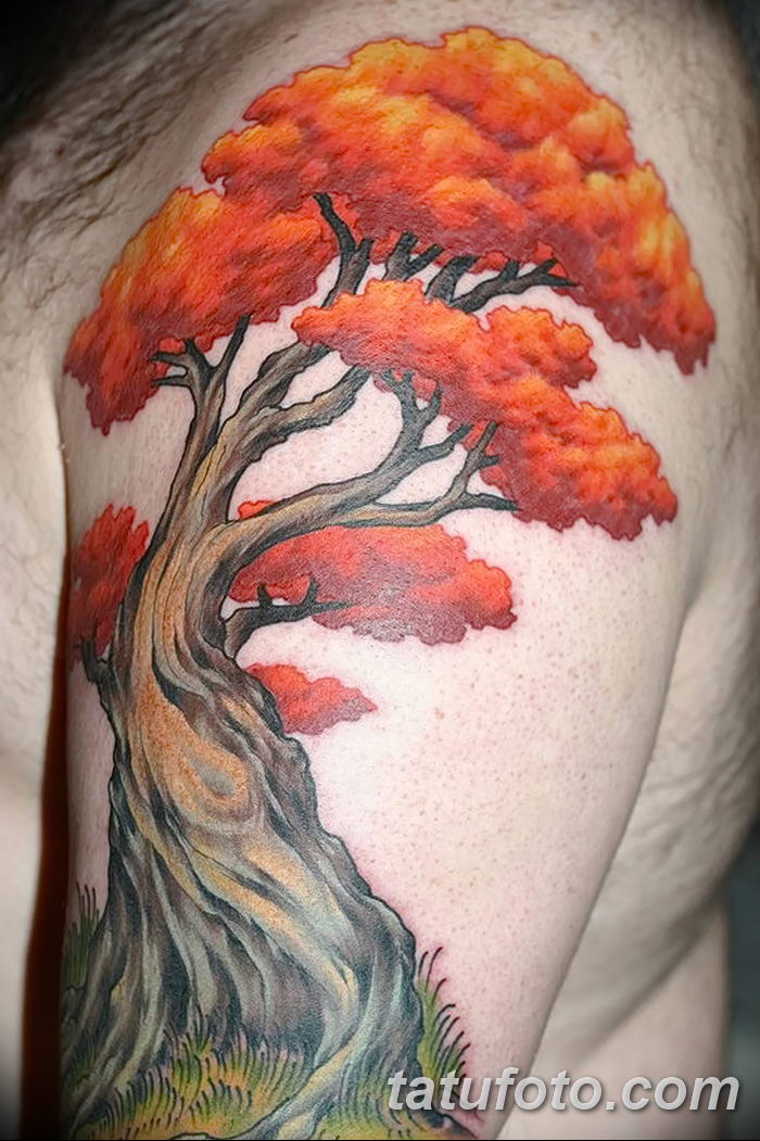Фото рисунка тату дерево дуб 20.10.2018 № 029 - tattoo tree oak drawing - t...