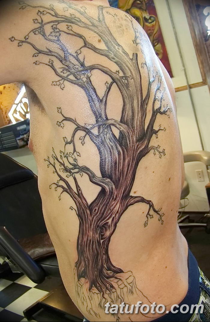 Фото рисунка тату дерево дуб 20.10.2018 № 052 - tattoo tree oak drawing - t...