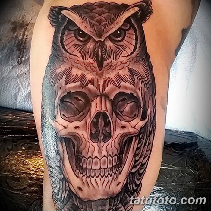 Фото тату сова с черепом 15.10.2018 № 003 - owl tattoo with skull - tatufot...