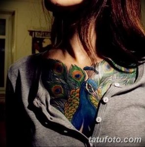 Фотография девушки с татуировкой павлина на груди, демонстрирующая яркий и привлекательный образ.