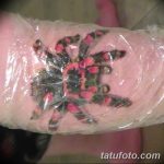 Фото заживление тату 09.10.2018 №005 - healing tattoo - tatufoto.com