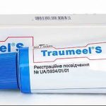 Фото упаковки и тюбика мази Traumeel S, используемой для ухода за свежими татуировками. На упаковке указано назначение мази и ее состав.