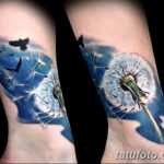 Фото пример рисунка тату одуванчик от 02.10.2018 №003 - dandelion tattoo - tatufoto.com
