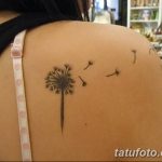 Фото пример рисунка тату одуванчик от 02.10.2018 №023 - dandelion tattoo - tatufoto.com