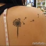 Фото тату: Черно-белый минималистичный рисунок одуванчика с летящими семенами, расположенный на лопатке. Эскиз татуировки выполнен тонкими линиями.