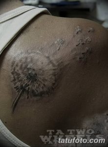 Фото татуировки одуванчика на лопатке. Черно-серый рисунок с разлетающимися семенами, выполненный в минималистичном стиле.