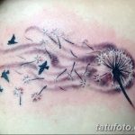 Фото пример рисунка тату одуванчик от 02.10.2018 №208 - dandelion tattoo - tatufoto.com