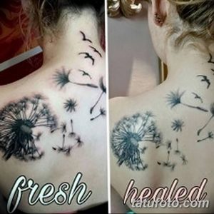 Фото черно-серой татуировки одуванчика с летящими птицами на шее, с изображением свежей и зажившей татуировки.
