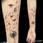 Фото пример рисунка тату одуванчик от 02.10.2018 №222 - dandelion tattoo - tatufoto.com