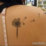Фото пример рисунка тату одуванчик от 02.10.2018 №225 - dandelion tattoo - tatufoto.com