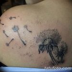 Фото пример рисунка тату одуванчик от 02.10.2018 №226 - dandelion tattoo - tatufoto.com