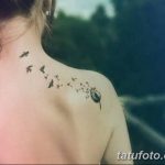Фото пример рисунка тату одуванчик от 02.10.2018 №227 - dandelion tattoo - tatufoto.com