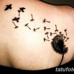Фото пример рисунка тату одуванчик от 02.10.2018 №230 - dandelion tattoo - tatufoto.com