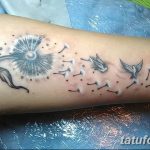 Фото пример рисунка тату одуванчик от 02.10.2018 №231 - dandelion tattoo - tatufoto.com