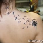Фото пример рисунка тату одуванчик от 02.10.2018 №234 - dandelion tattoo - tatufoto.com