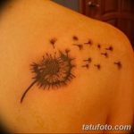 Фото пример рисунка тату одуванчик от 02.10.2018 №242 - dandelion tattoo - tatufoto.com