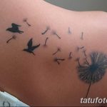 Фото пример рисунка тату одуванчик от 02.10.2018 №248 - dandelion tattoo - tatufoto.com