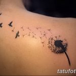 Фото пример рисунка тату одуванчик от 02.10.2018 №250 - dandelion tattoo - tatufoto.com