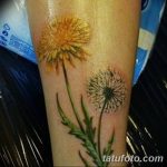 Фото пример рисунка тату одуванчик от 02.10.2018 №254 - dandelion tattoo - tatufoto.com