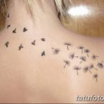 Фото пример рисунка тату одуванчик от 02.10.2018 №259 - dandelion tattoo - tatufoto.com