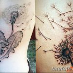 Фото пример рисунка тату одуванчик от 02.10.2018 №260 - dandelion tattoo - tatufoto.com